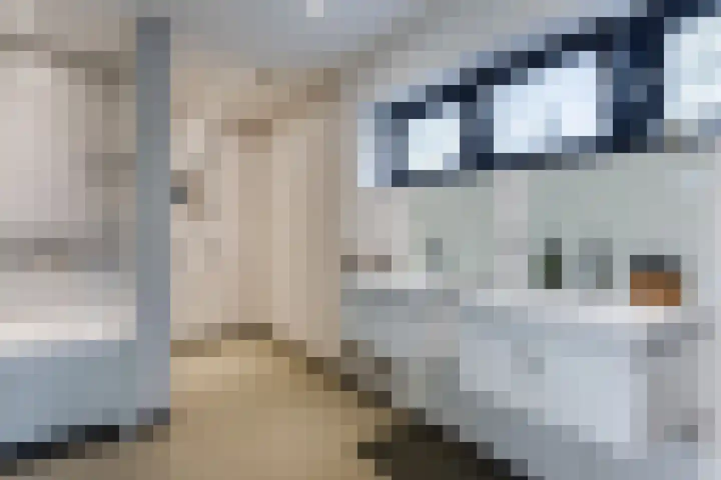 Lage Haghorst 21 Haghorst thumbnail 46