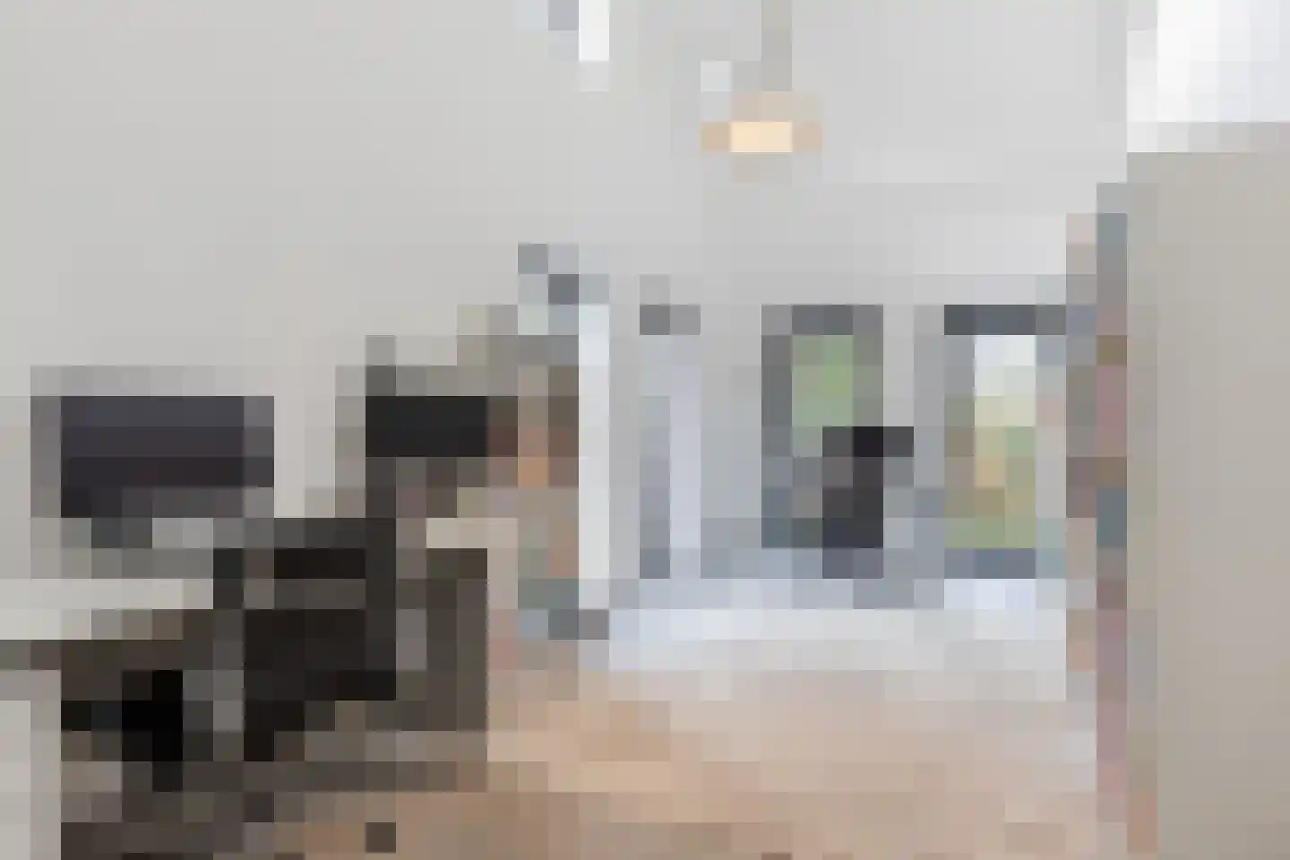 Lage Haghorst 21 Haghorst thumbnail 55