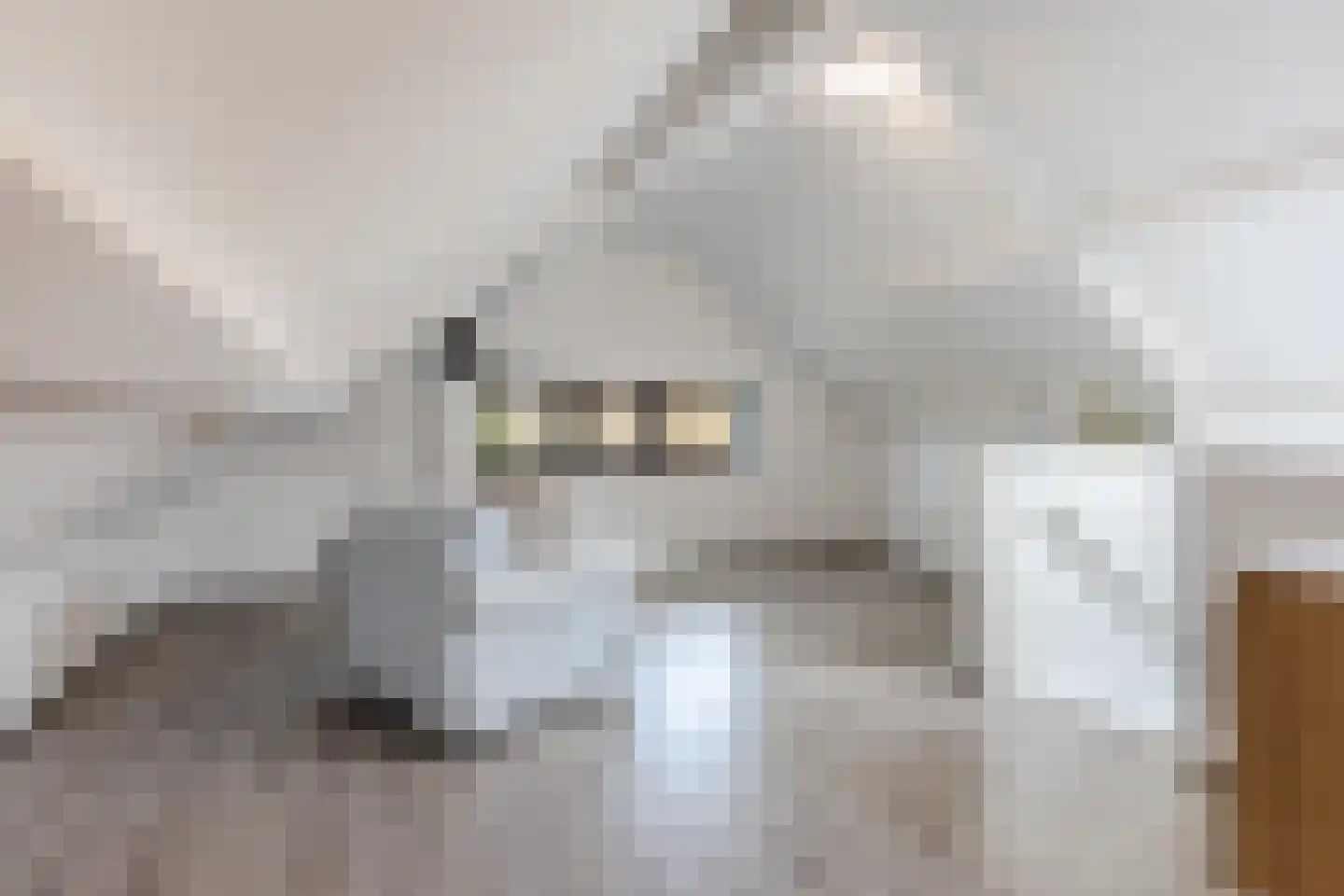 Lage Haghorst 21 Haghorst thumbnail 67