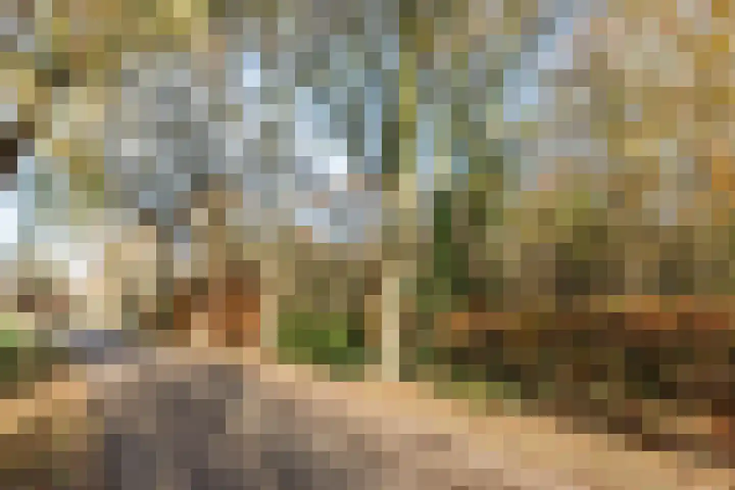 Lage Haghorst 21 Haghorst thumbnail 82