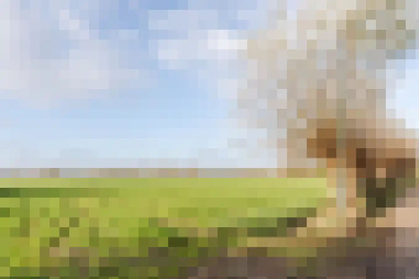 Lage Haghorst 21 Haghorst thumbnail 83