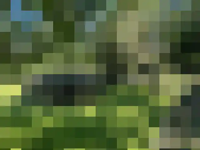 Lage Haghorst 21 Haghorst thumbnail 89