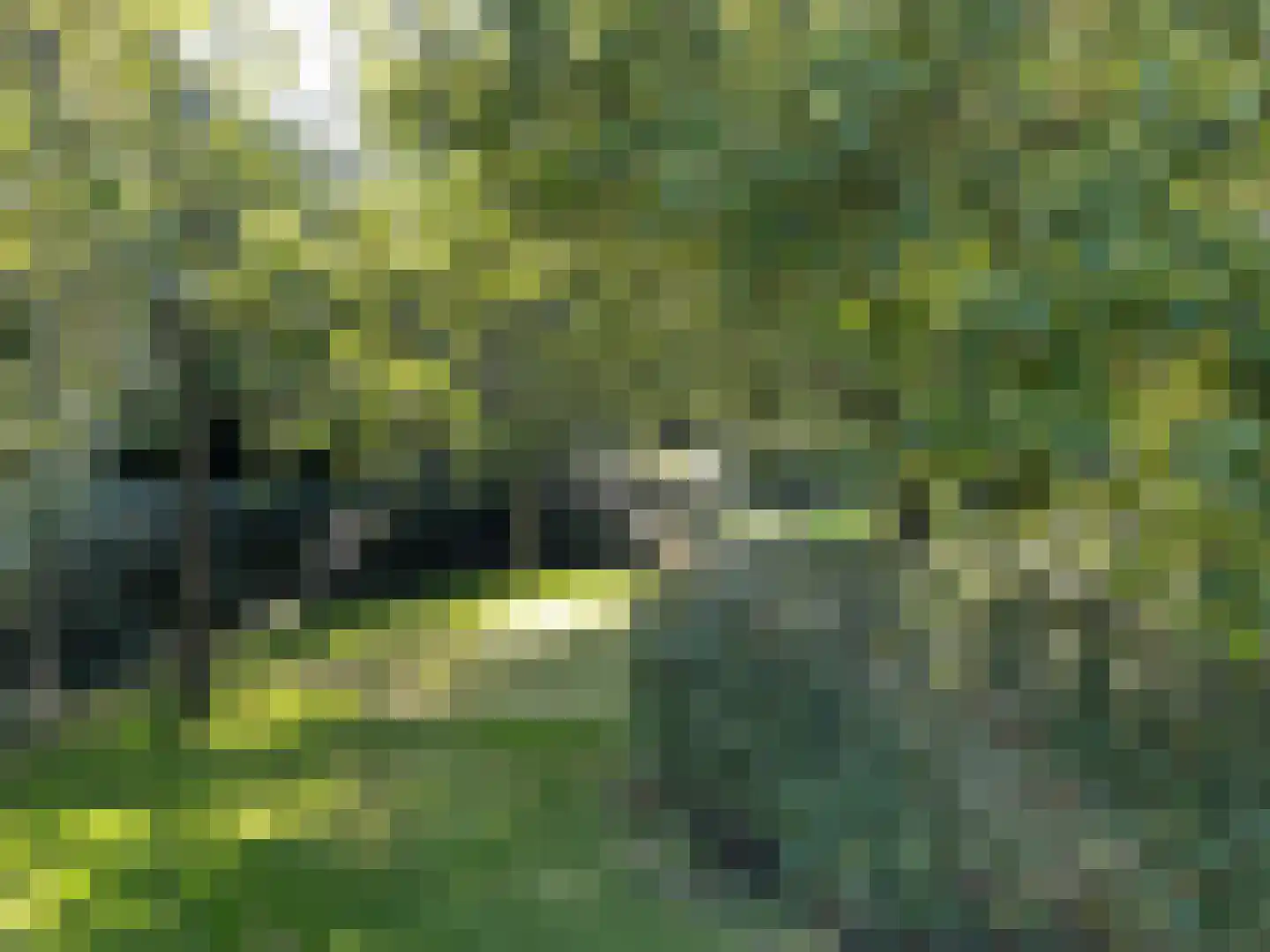 Lage Haghorst 21 Haghorst thumbnail 92