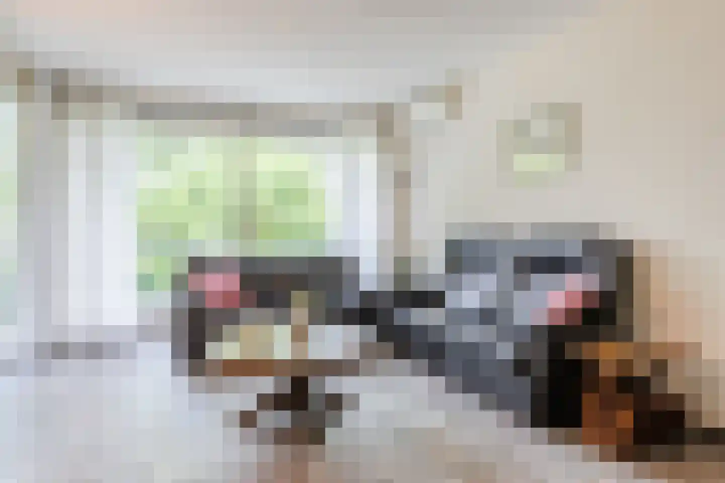 Lage Ham 11 03 Dongen thumbnail 14