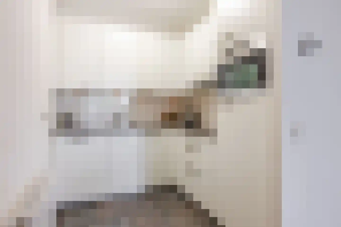 Lage Ham 11 03 Dongen thumbnail 19