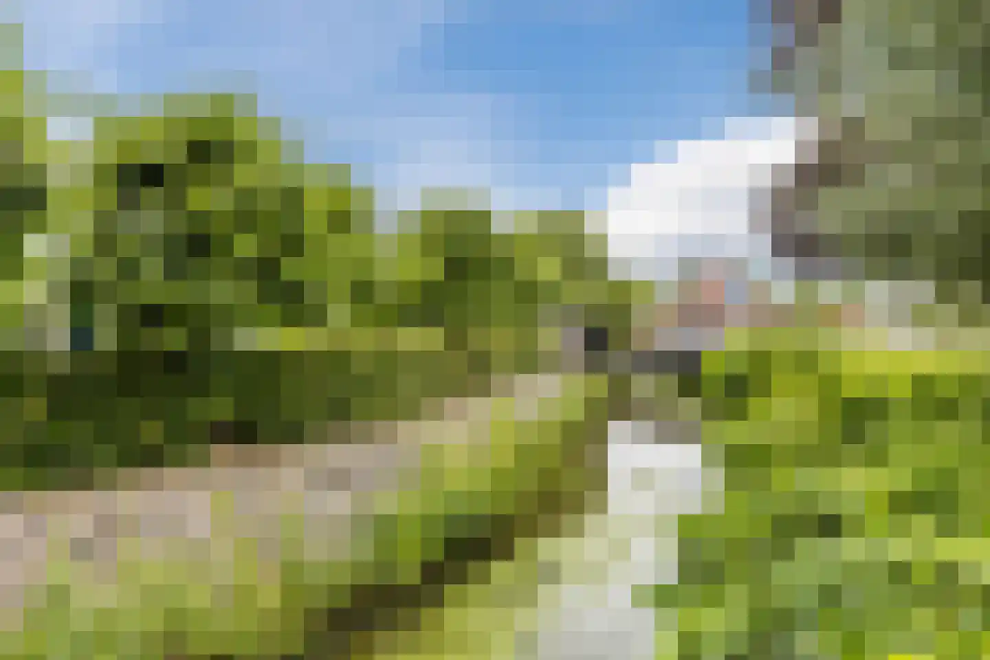 Lage Ham 11 03 Dongen thumbnail 30