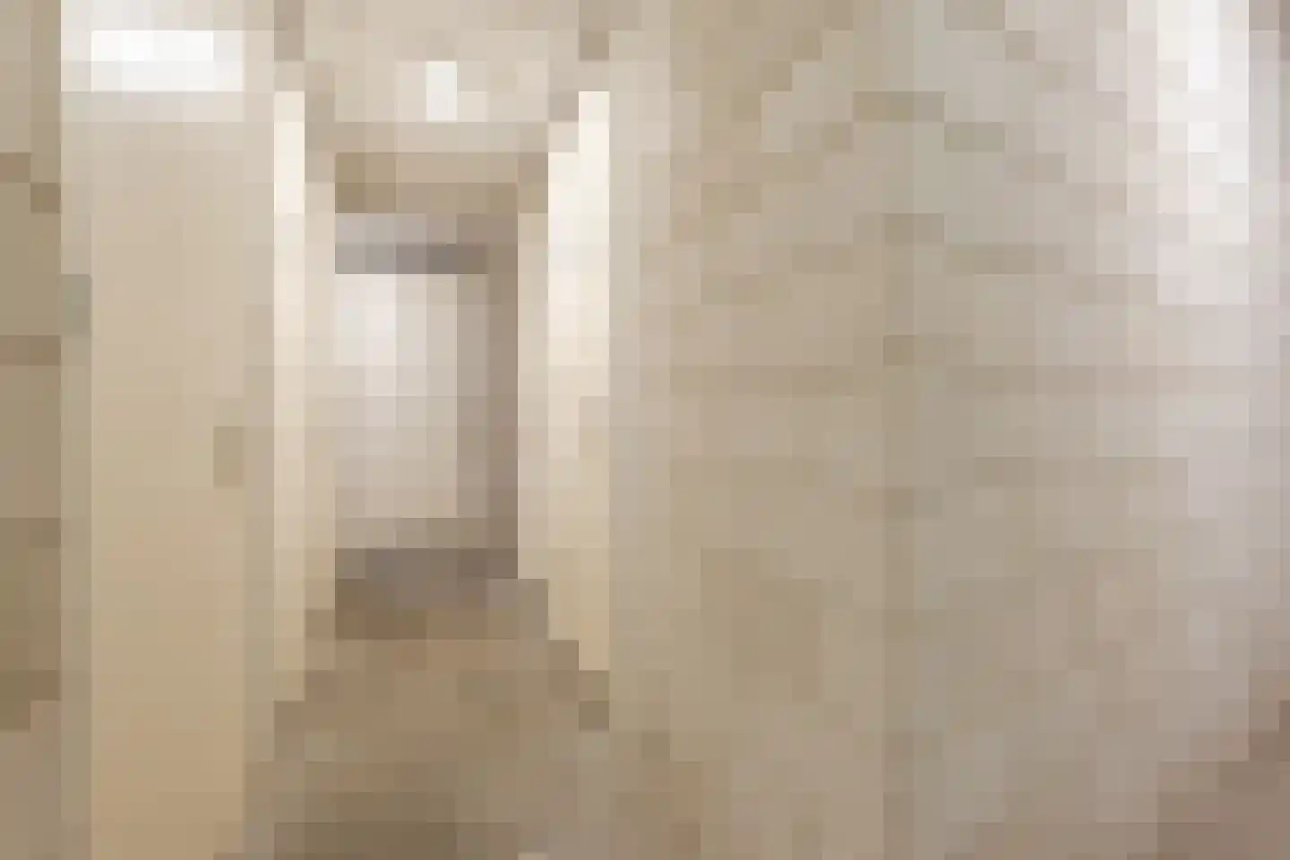Lage Ham 11 03 Dongen thumbnail 33