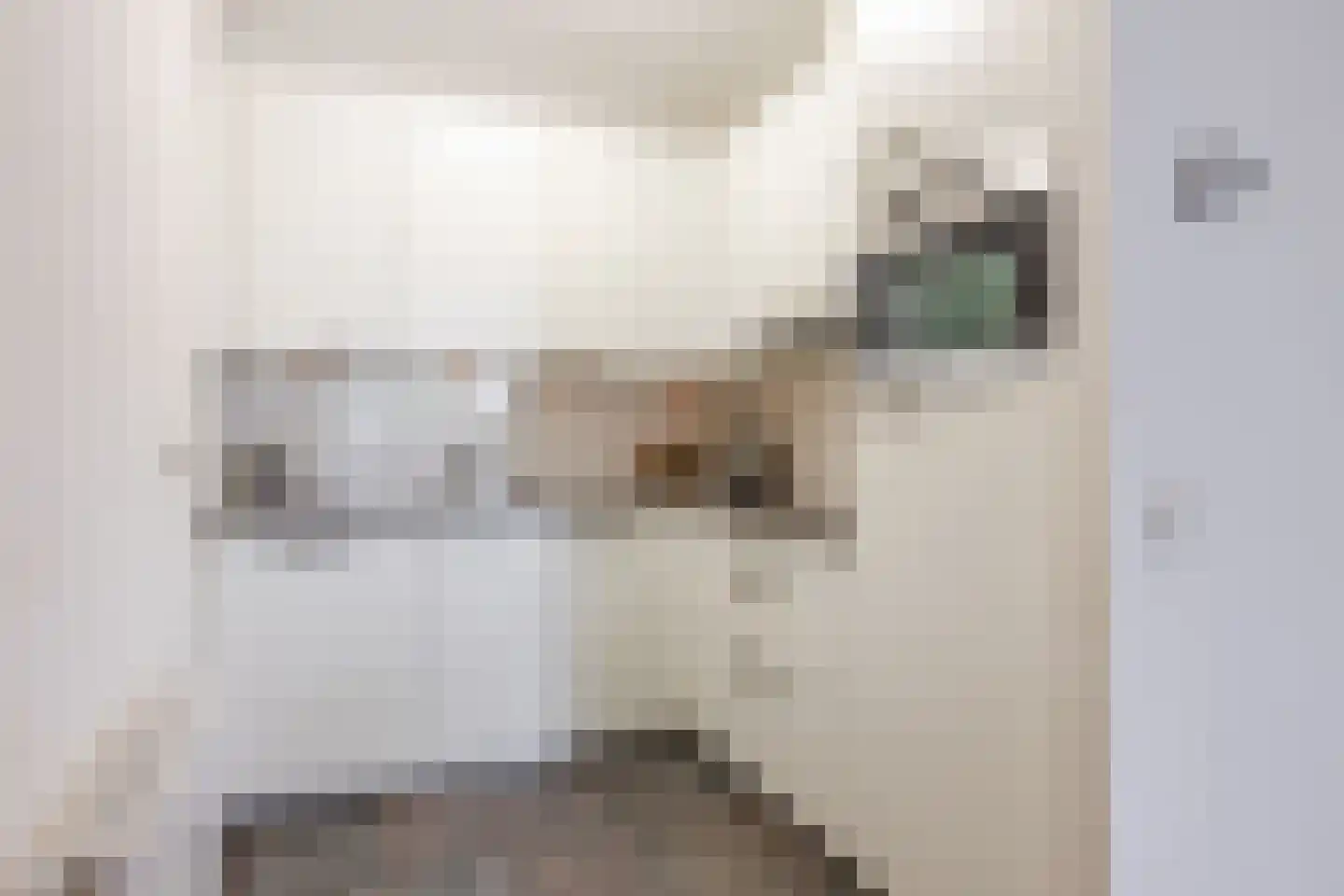 Lage Ham 11 03 Dongen thumbnail 5