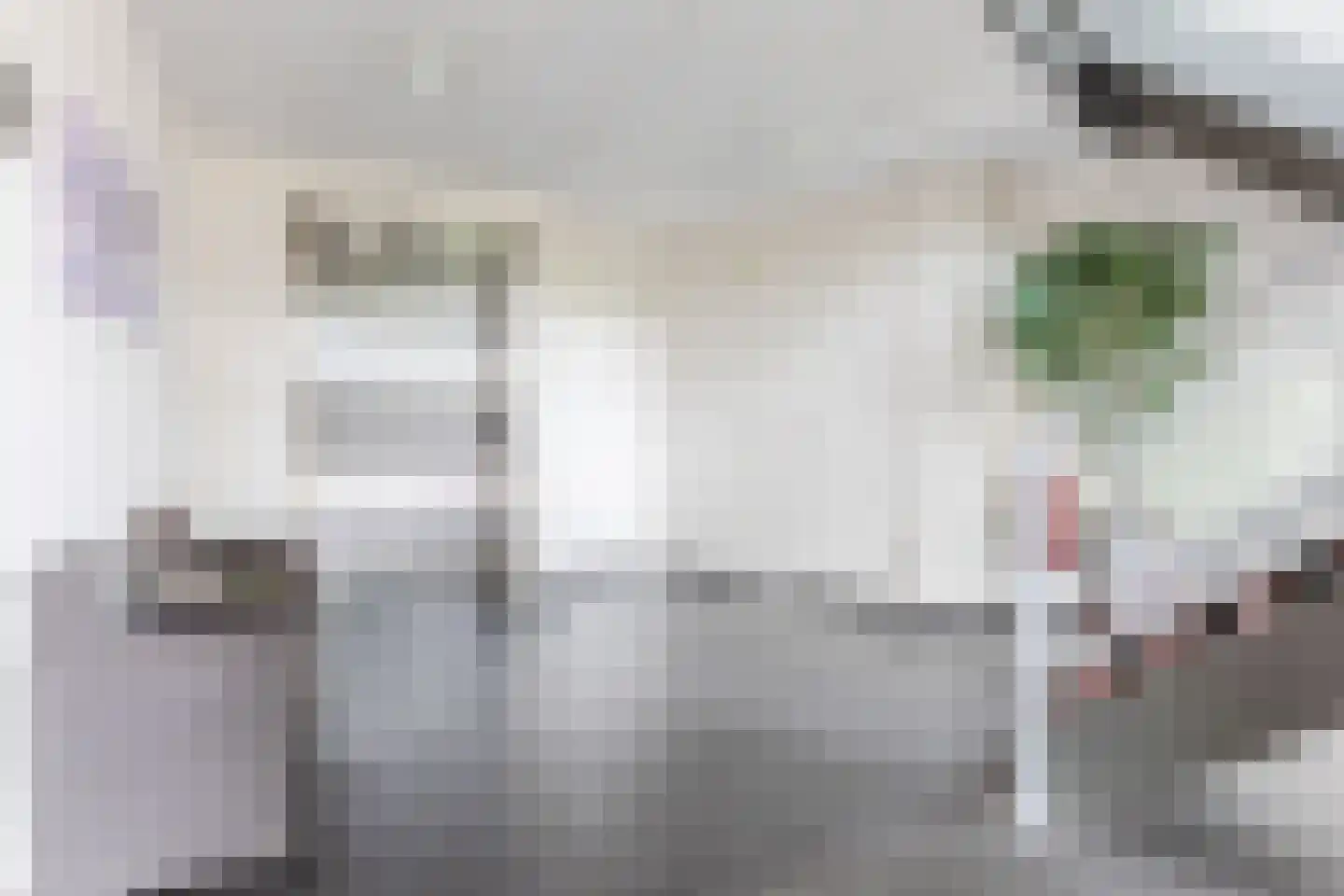 Lage Ham 11 03 Dongen thumbnail 9
