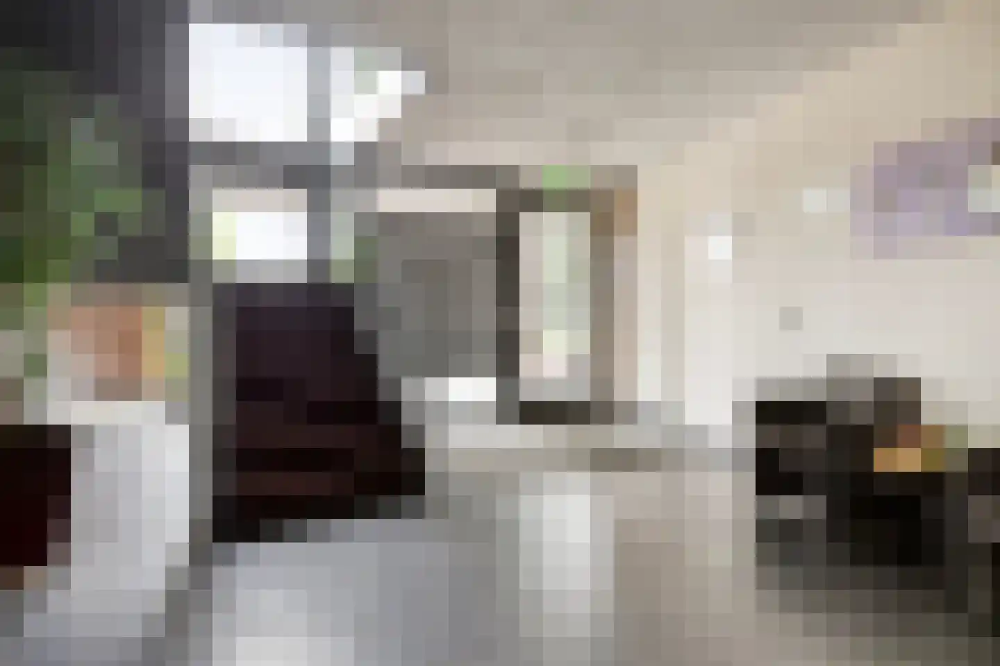 Lage Ham 13 02 Dongen thumbnail 10
