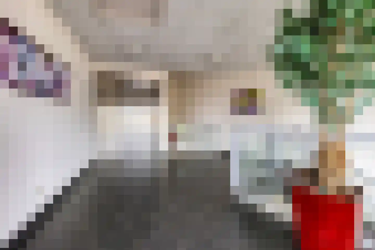 Lage Ham 13 02 Dongen thumbnail 12