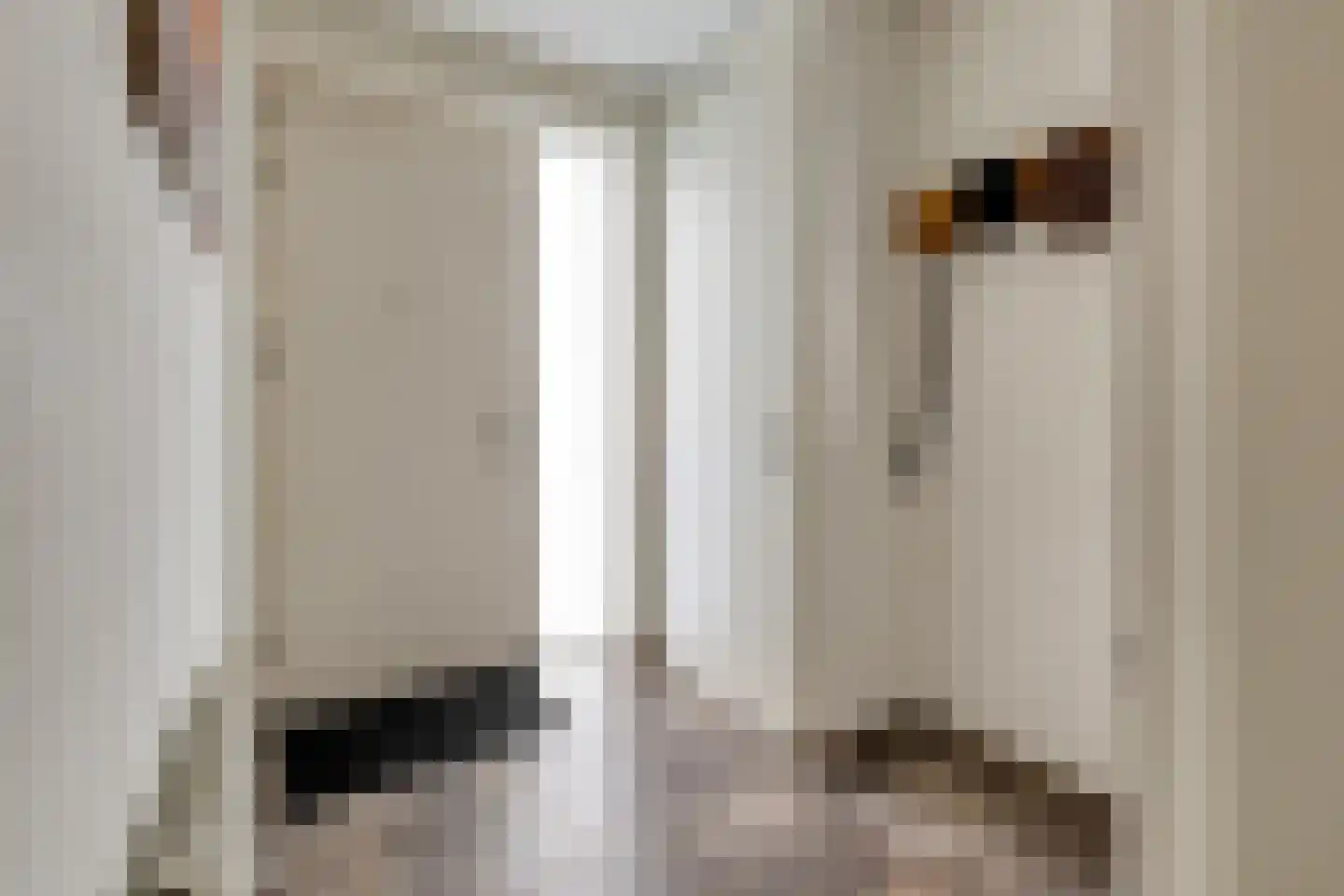 Lage Ham 13 02 Dongen thumbnail 14