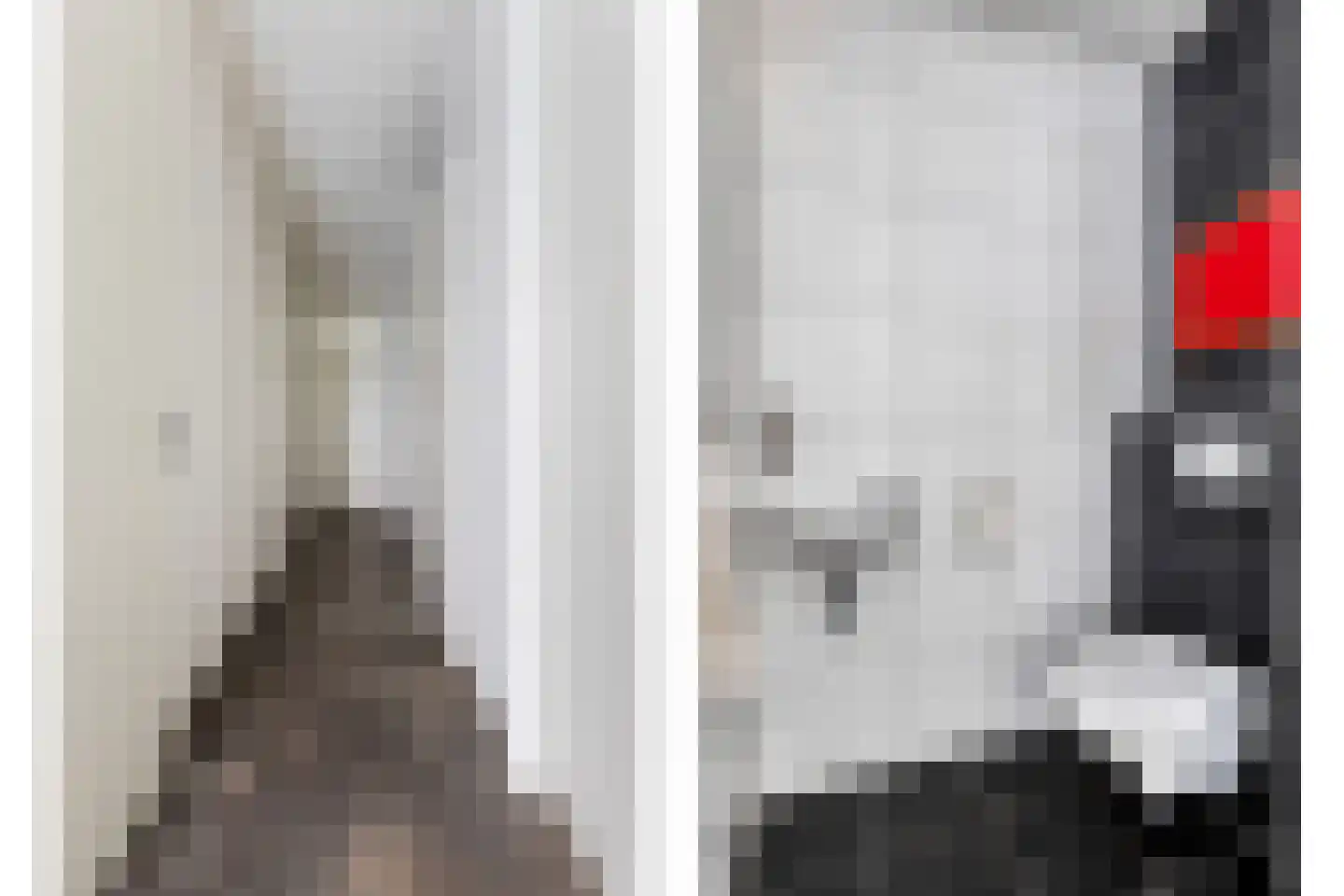 Lage Ham 13 02 Dongen thumbnail 15