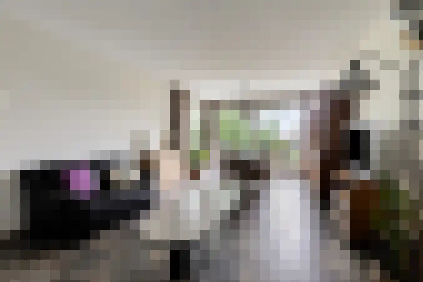 Lage Ham 13 02 Dongen thumbnail 16