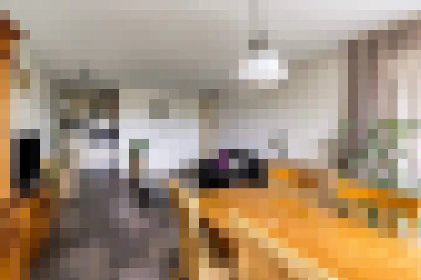 Lage Ham 13 02 Dongen thumbnail 19