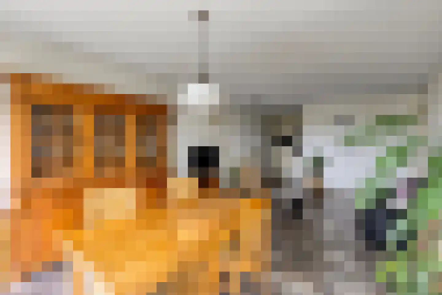 Lage Ham 13 02 Dongen thumbnail 20