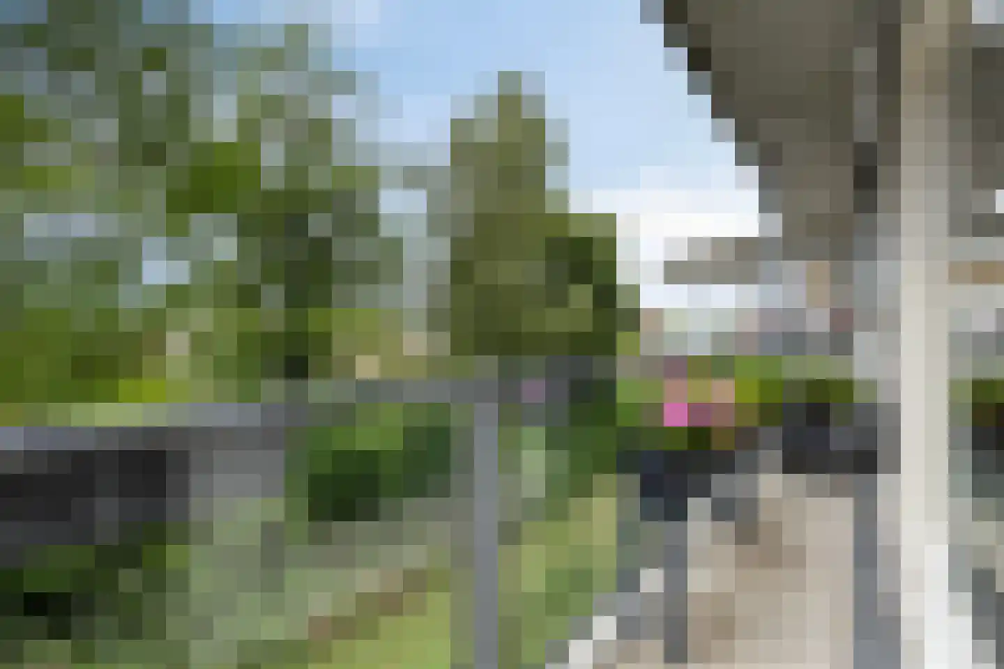 Lage Ham 13 02 Dongen thumbnail 27