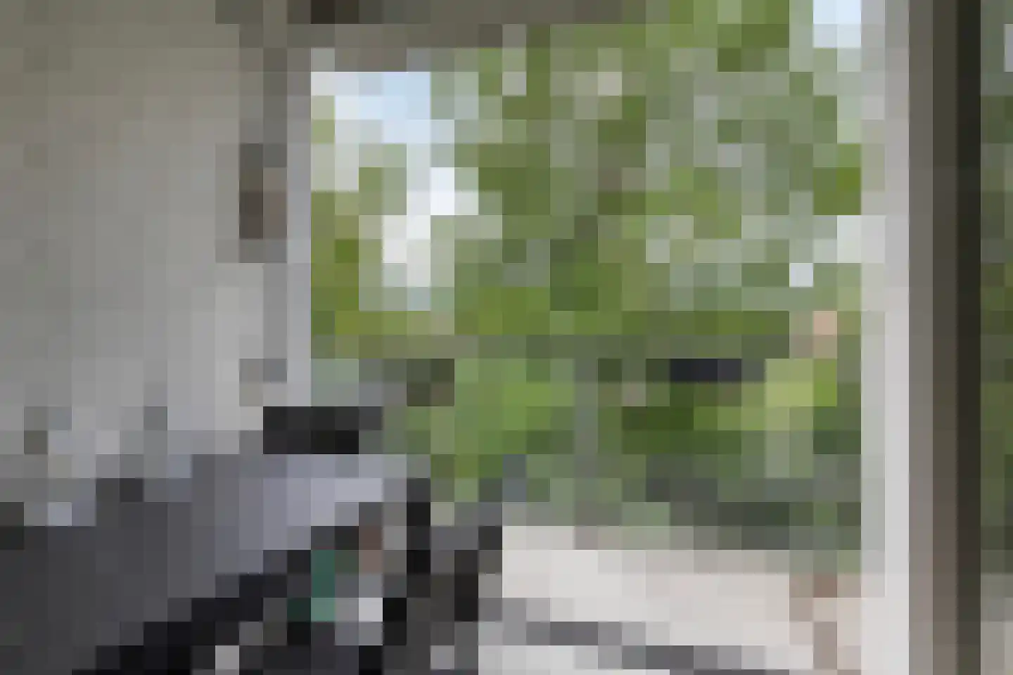 Lage Ham 13 02 Dongen thumbnail 28