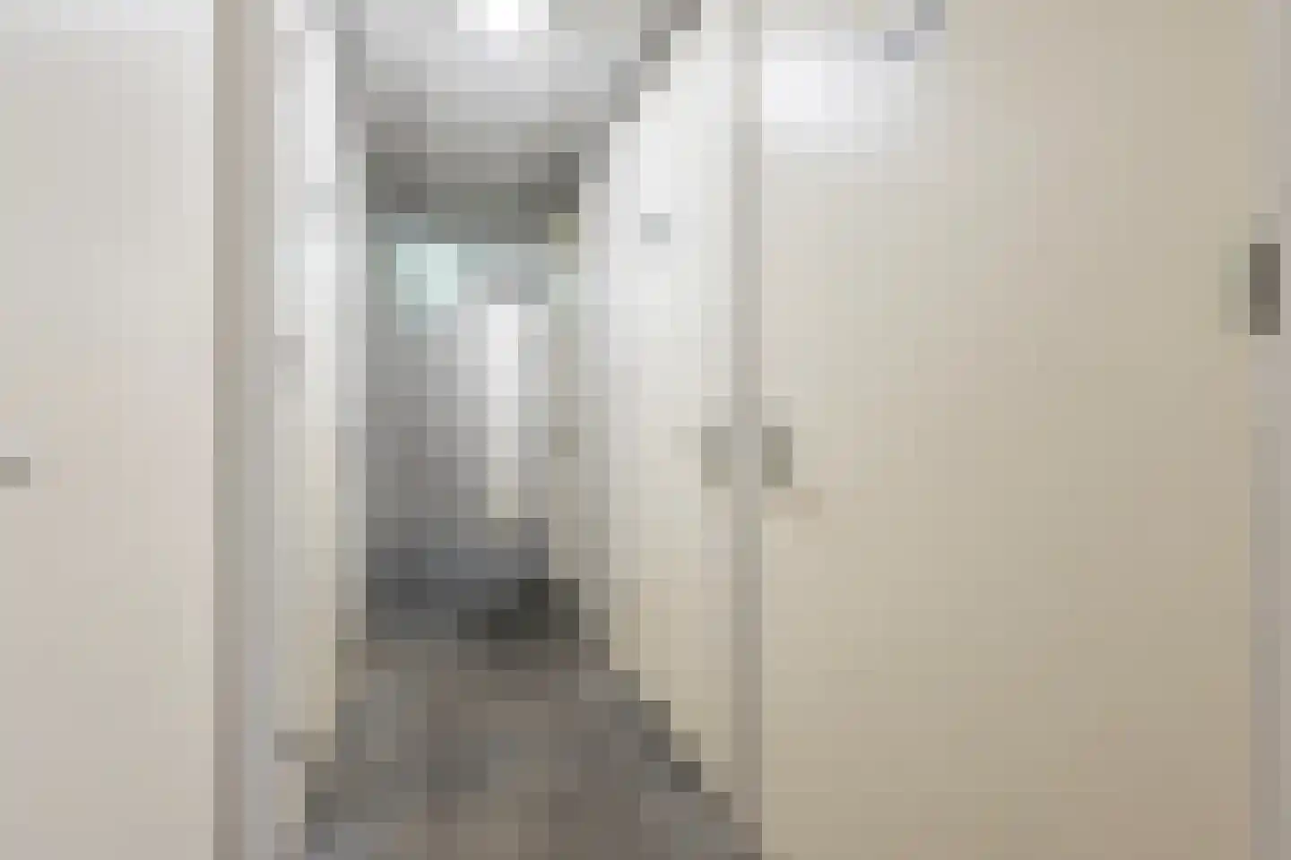 Lage Ham 13 02 Dongen thumbnail 33