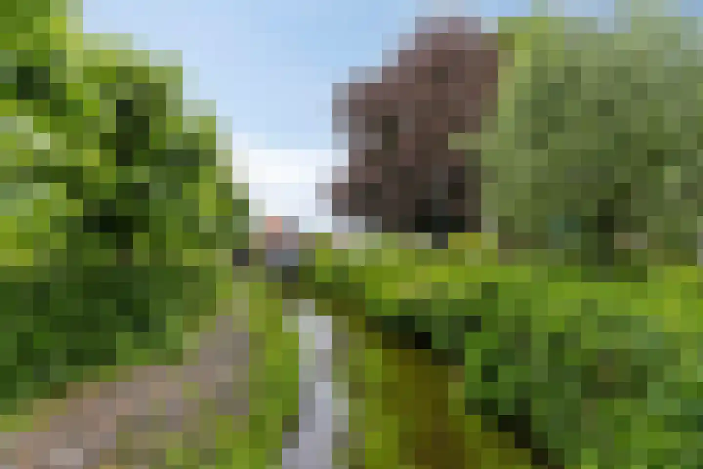 Lage Ham 13 02 Dongen thumbnail 35