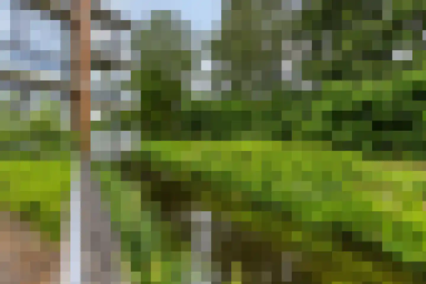 Lage Ham 13 02 Dongen thumbnail 36