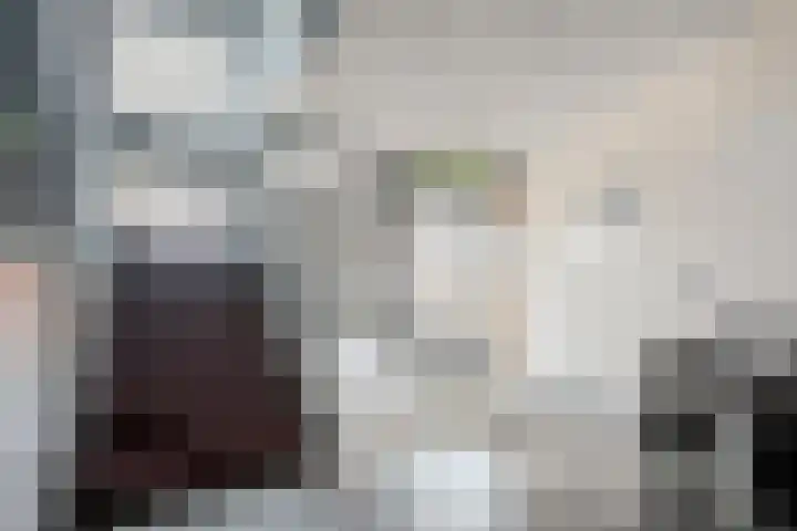 Lage Ham 13 03 Dongen thumbnail 10