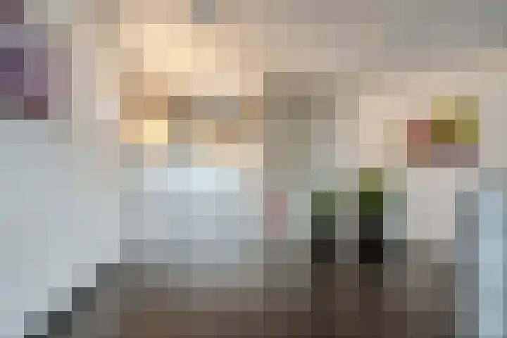 Lage Ham 13 03 Dongen thumbnail 11