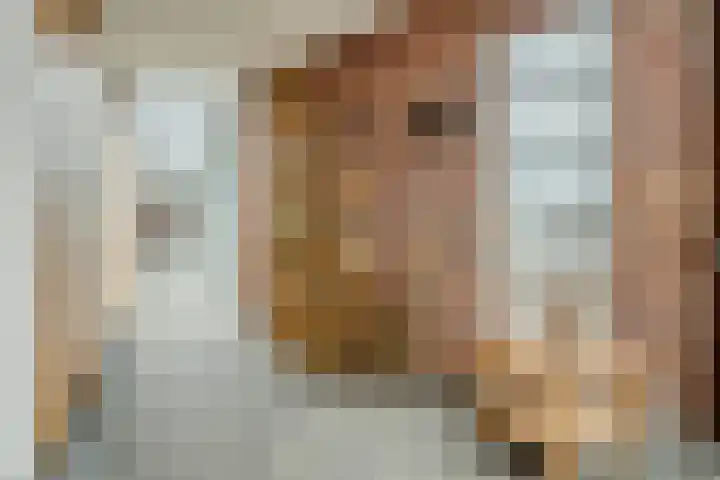 Lage Ham 13 03 Dongen thumbnail 12