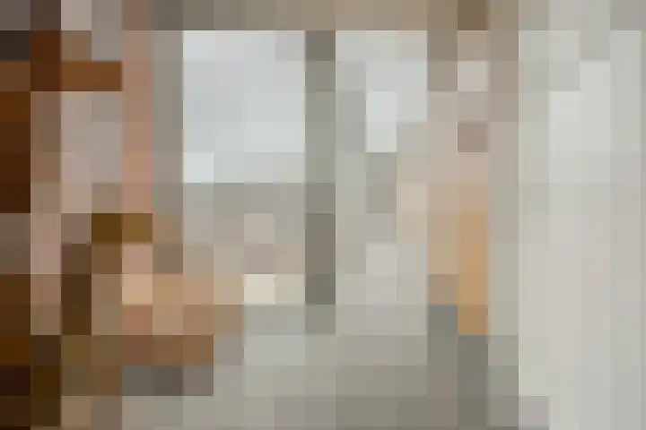 Lage Ham 13 03 Dongen thumbnail 13