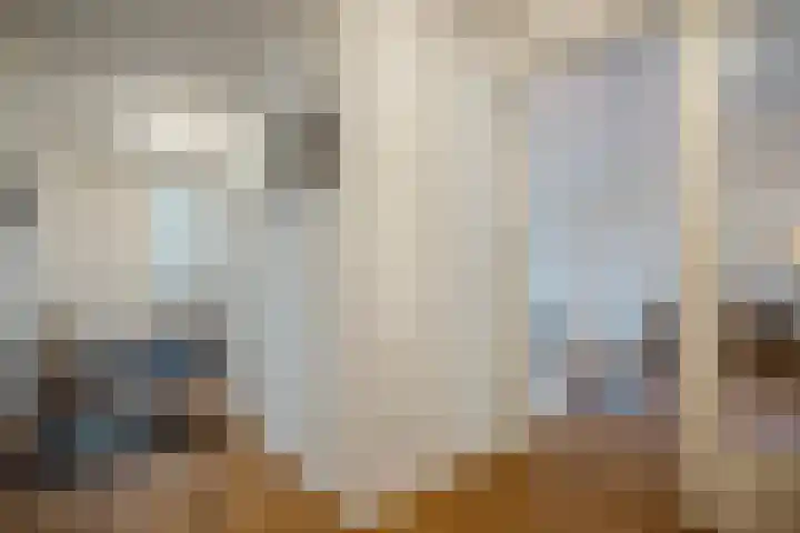 Lage Ham 13 03 Dongen thumbnail 15
