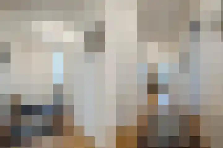 Lage Ham 13 03 Dongen thumbnail 16