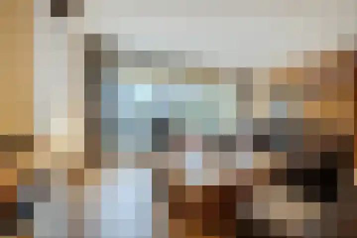 Lage Ham 13 03 Dongen thumbnail 18