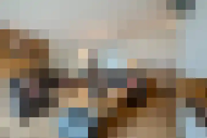 Lage Ham 13 03 Dongen thumbnail 19