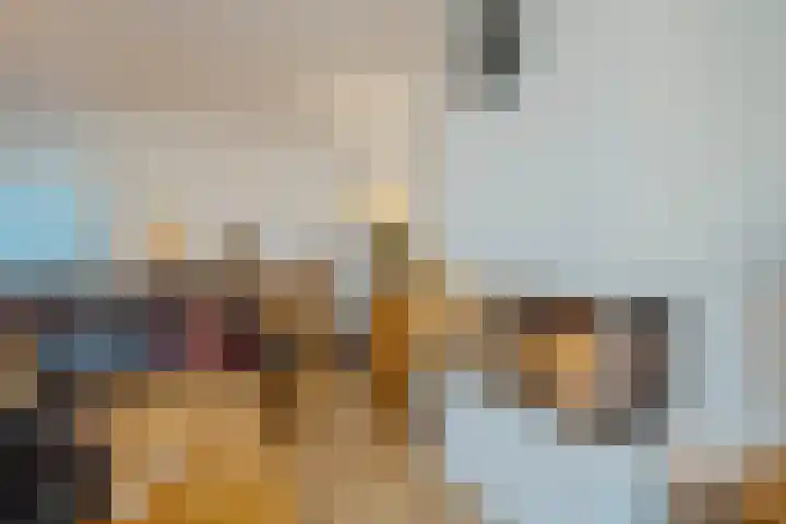 Lage Ham 13 03 Dongen thumbnail 22