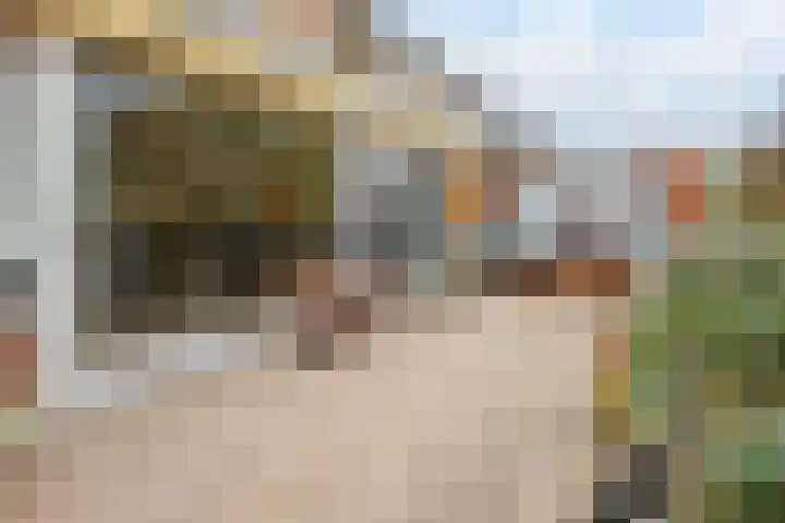 Lage Ham 13 03 Dongen thumbnail 28