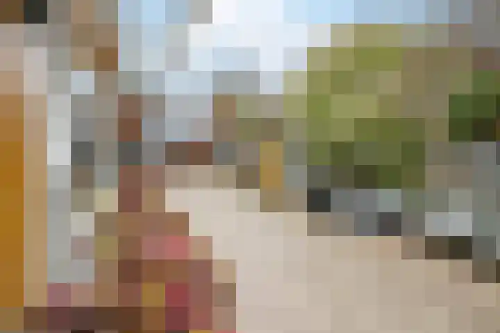 Lage Ham 13 03 Dongen thumbnail 29