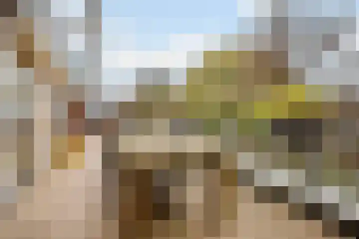 Lage Ham 13 03 Dongen thumbnail 31