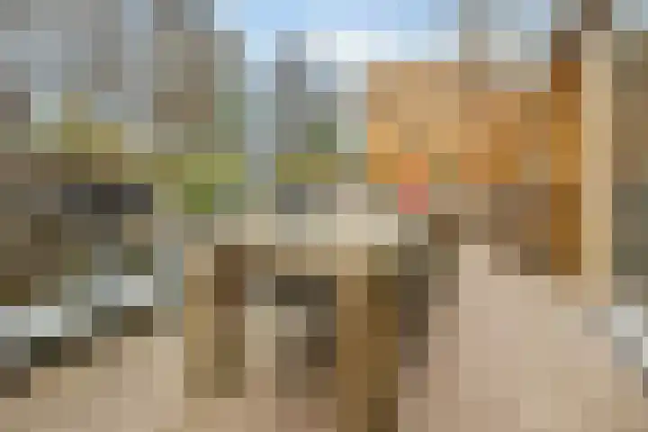 Lage Ham 13 03 Dongen thumbnail 32