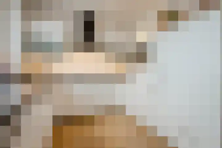 Lage Ham 13 03 Dongen thumbnail 33
