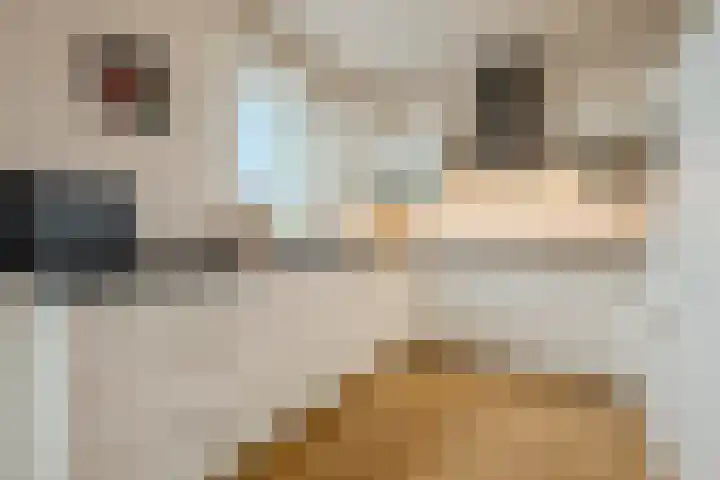 Lage Ham 13 03 Dongen thumbnail 34