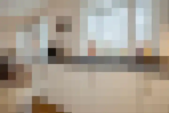 Lage Ham 13 03 Dongen thumbnail 35