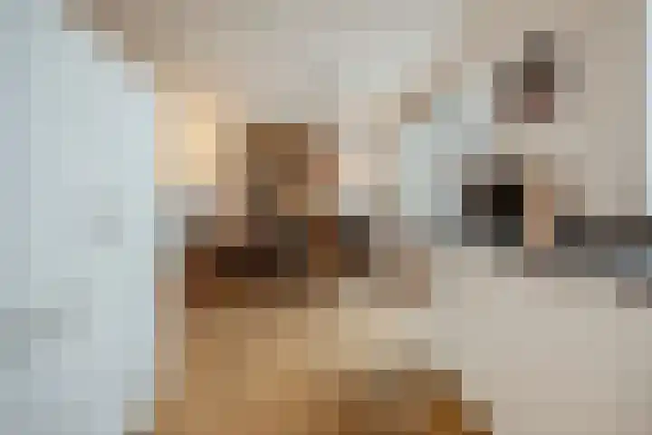 Lage Ham 13 03 Dongen thumbnail 36