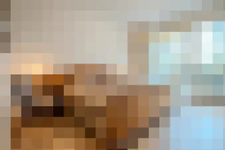 Lage Ham 13 03 Dongen thumbnail 37