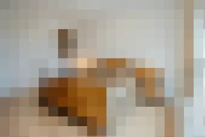 Lage Ham 13 03 Dongen thumbnail 38