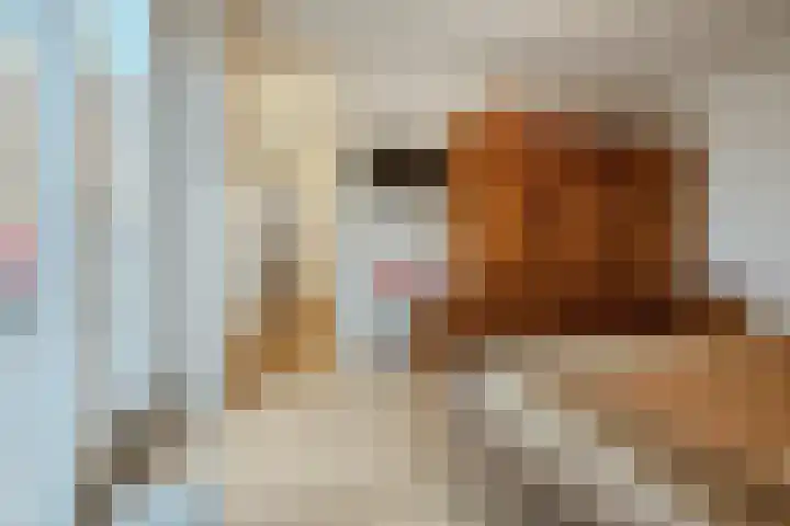 Lage Ham 13 03 Dongen thumbnail 39