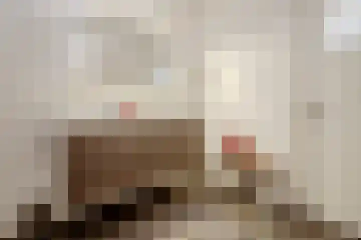 Lage Ham 13 03 Dongen thumbnail 40