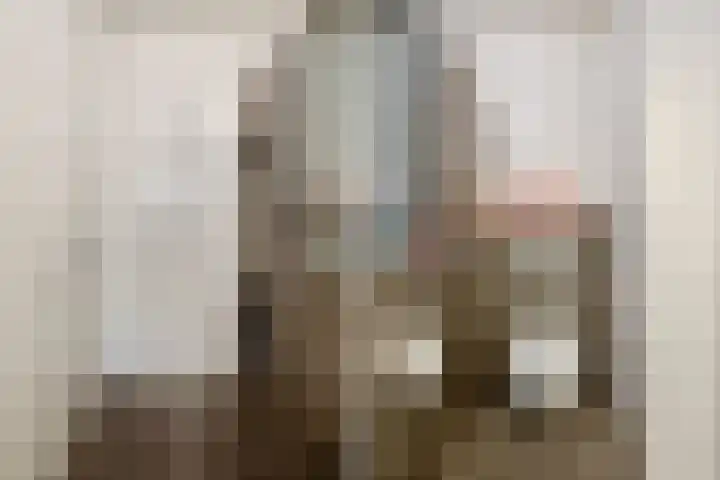 Lage Ham 13 03 Dongen thumbnail 41