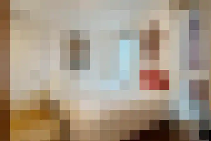 Lage Ham 13 03 Dongen thumbnail 44