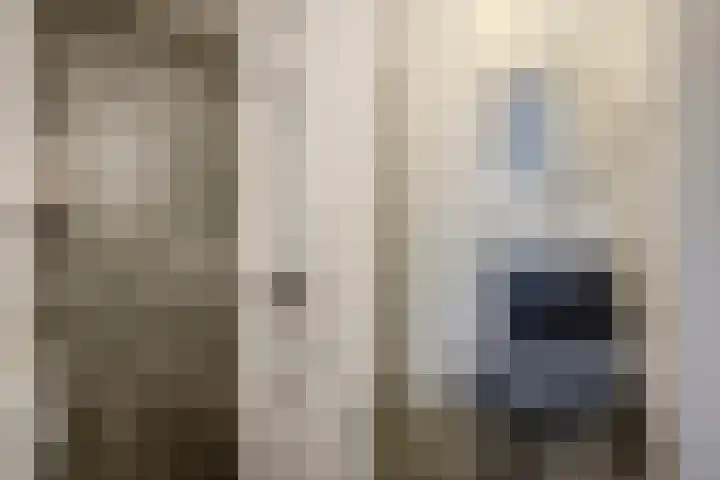 Lage Ham 13 03 Dongen thumbnail 45
