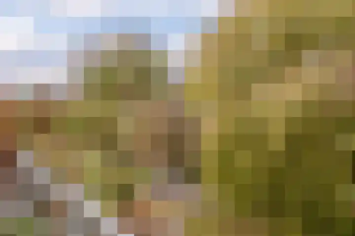 Lage Ham 13 03 Dongen thumbnail 46